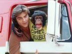 Greg Evigan (BJ and The Bear)